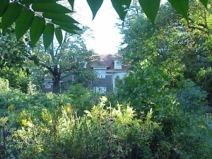 pennhouse
